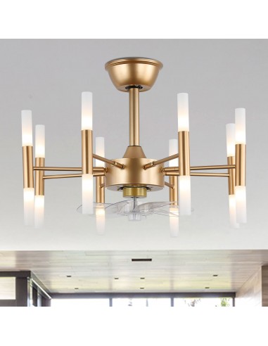 Oaks Aura 23” Ceiling Fan with Lights Remote 6-Speed Light Fixture