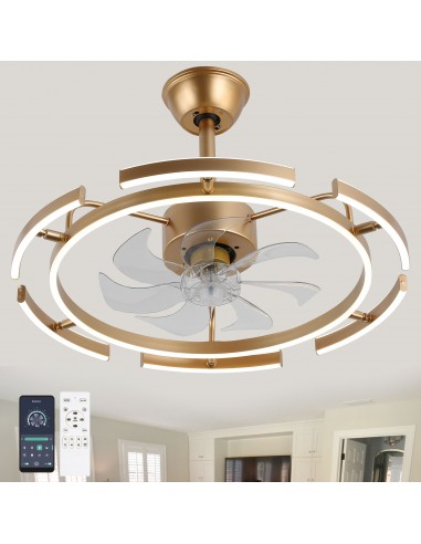 Oaks Aura DIY Shape Adjustable Ceiling Fan with Lights Remote&APP Control 3-Color Changing 6-Speed