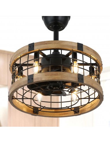 Oaks Aura 18" Reversible Wood Ceiling Fan with Lights Remote 3-Speed