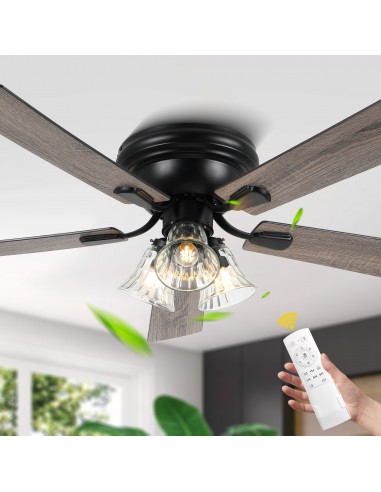 Oaks Aura 52” Reversible 5-Blade Wood Ceiling Fan Lights and Remote Control, 6-Speed, Timer, Memory Function