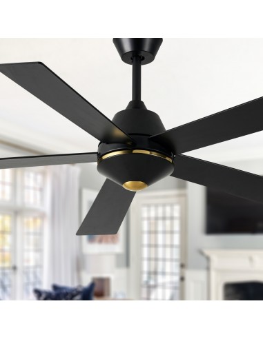 Oaks Aura 52-Inch 5-Blade Reversible Ceiling Fan with Remote Control, 6-Speed Settings, Quiet DC Motor